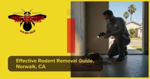 Effective Rodent Removal Guide, Norwalk, CA