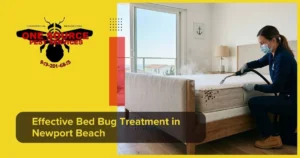 Effective Bed Bug Treatment in Newport Beach