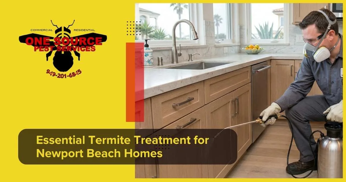 Essential Termite Treatment for Newport Beach Homes