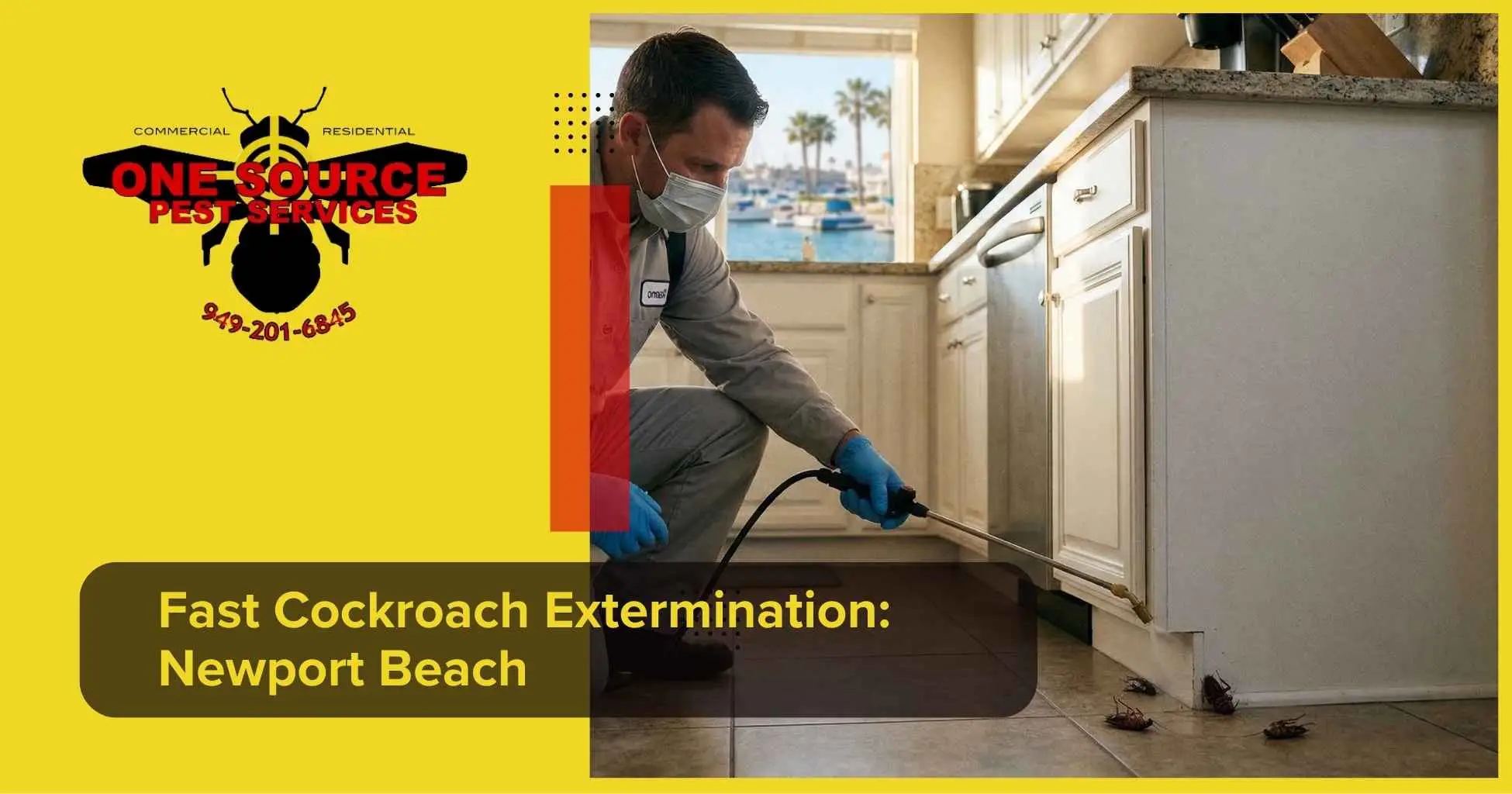 Fast Cockroach ExterminationNewport Beach