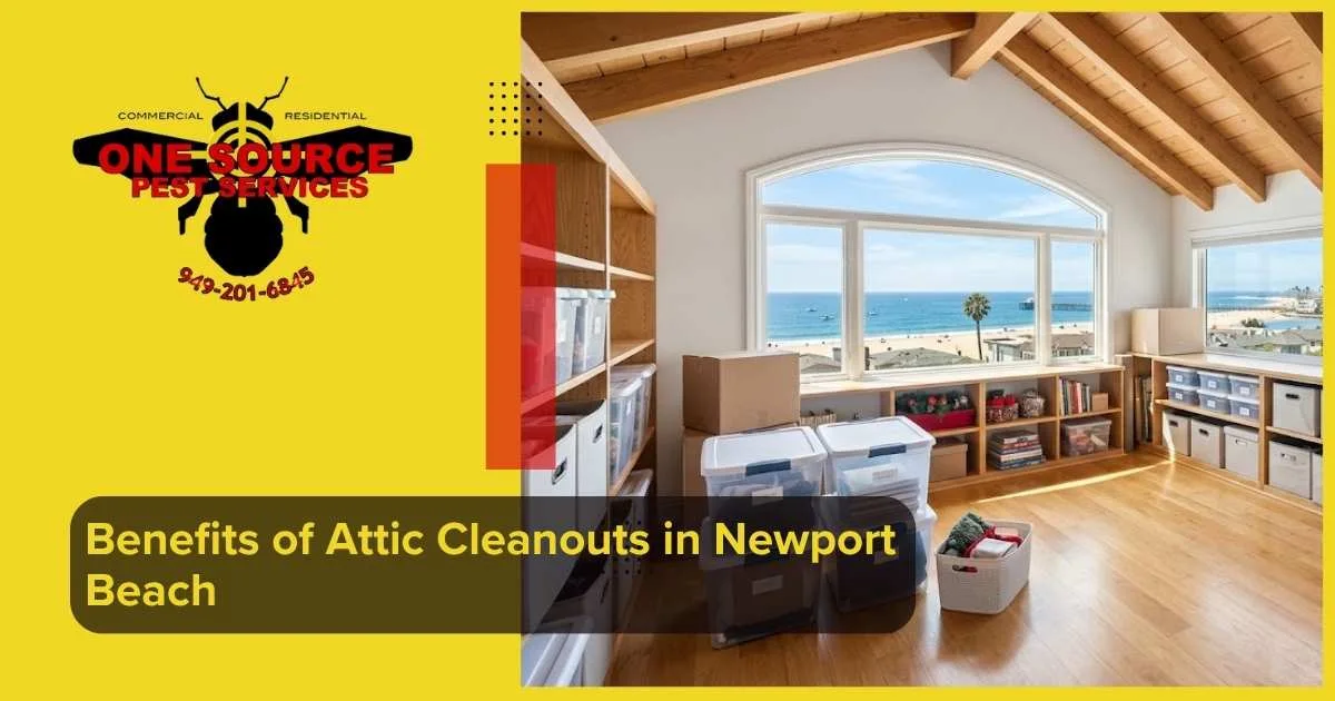 Benefits of Attic Cleanouts in Newport Beach