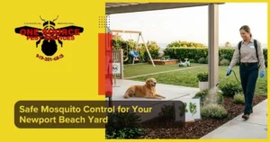 Safe Mosquito Control for Your Newport Beach Yard