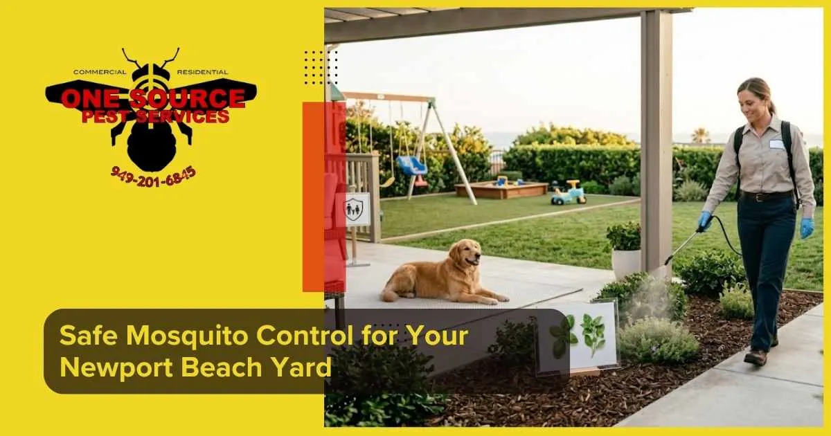 Safe Mosquito Control for Your Newport Beach Yard