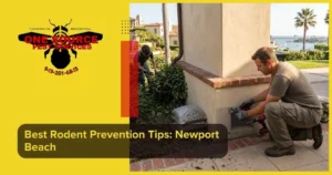 Best Rodent Prevention Tips: Newport Beach