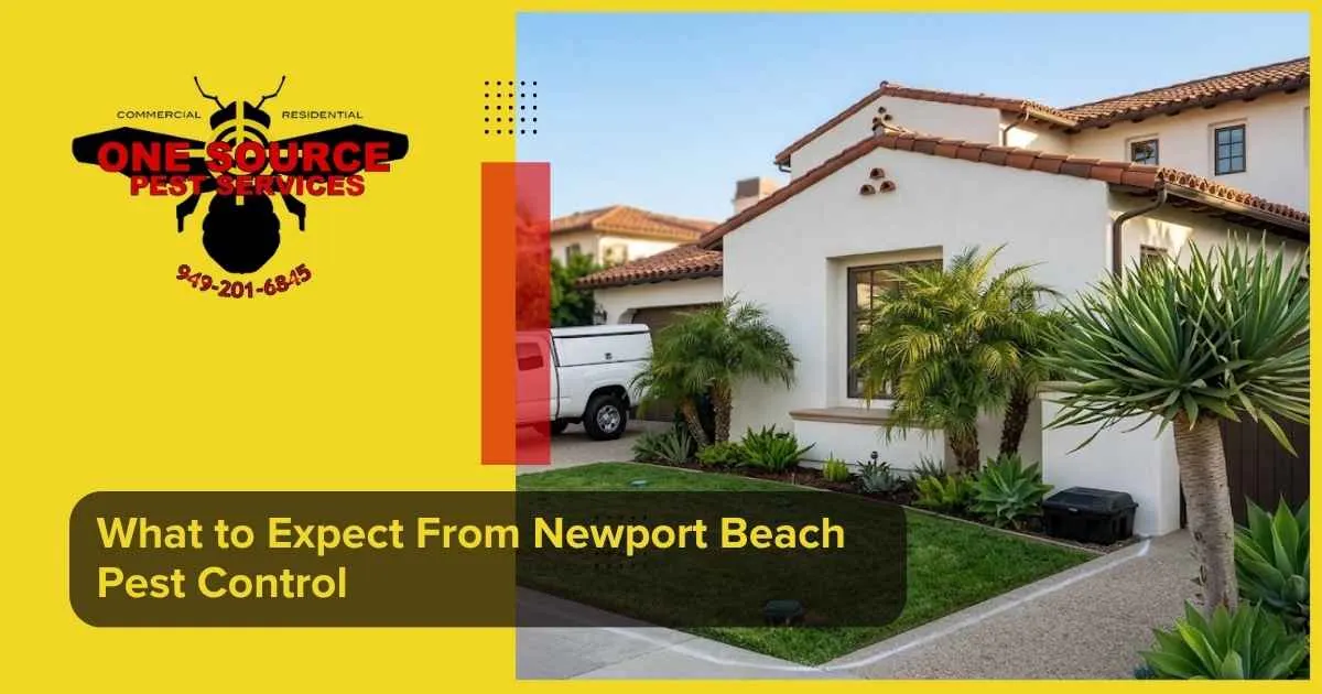 What to Expect From Newport Beach Pest Control