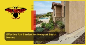 Effective Ant Barriers for Newport Beach Homes