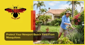 Protect Your Newport Beach Yard From Mosquitoes