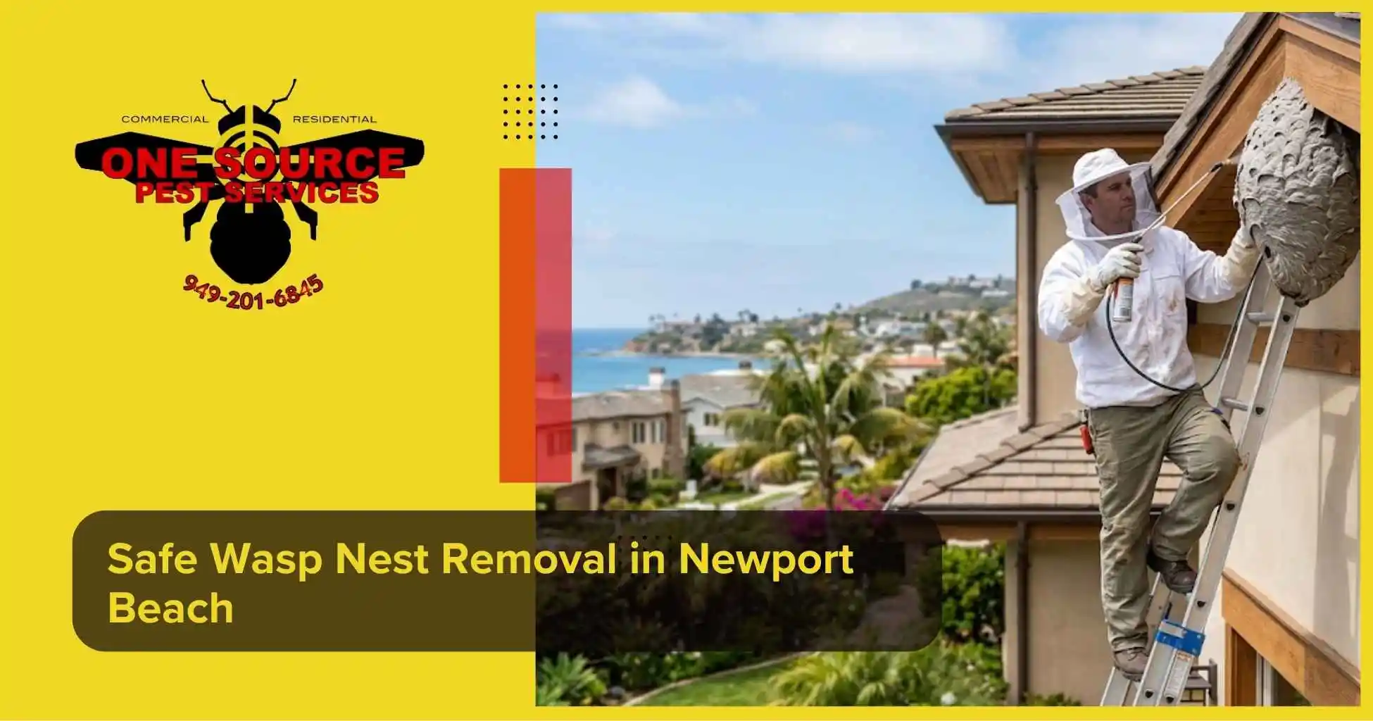 Safe Wasp Nest Removal in Newport Beach