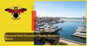 Seasonal Pest Prevention Guide Newport Beach