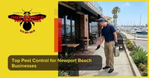 Top Pest Control for Newport Beach Businesses