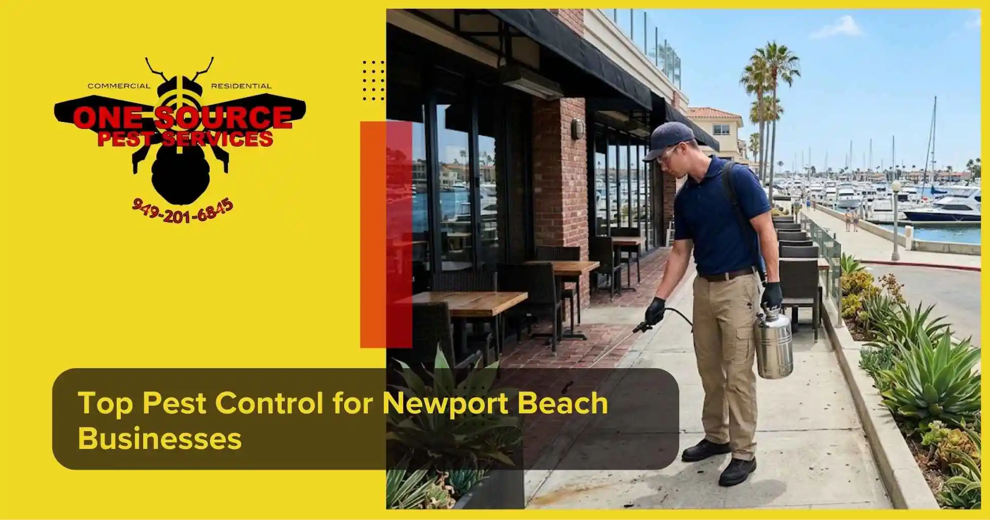 Top Pest Control for Newport Beach Businesses
