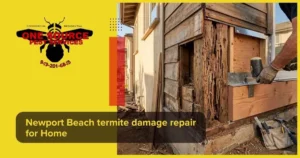 Newport Beach termite damage repair for Home